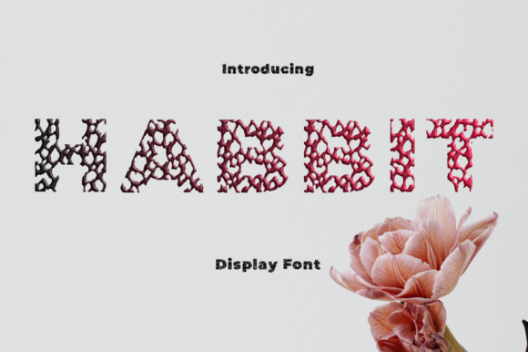 Habbit: A Display Font for Modern Branding
